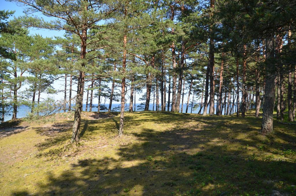 Lohusalu Apartment Camera foto